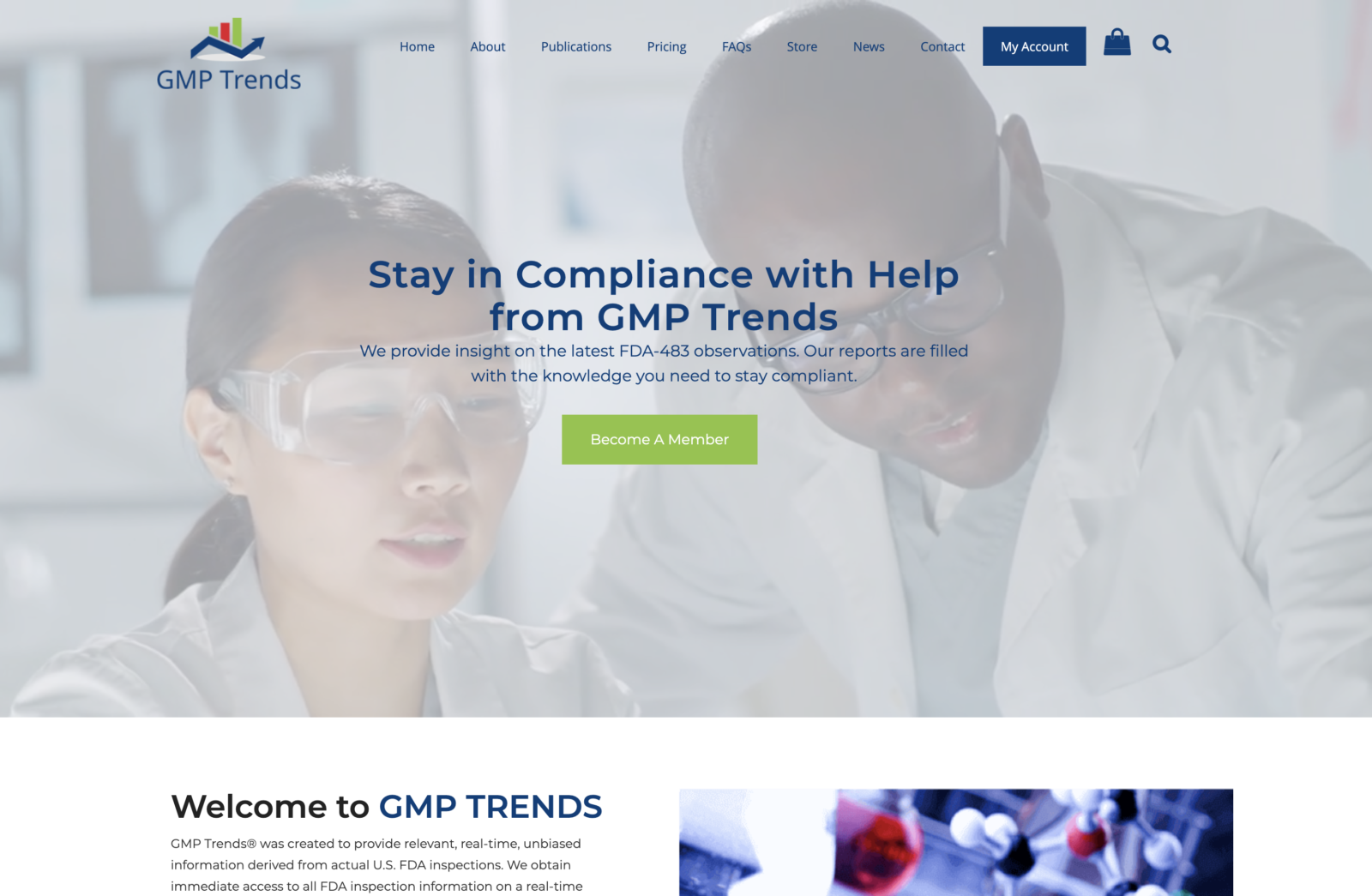 gmp trends - website